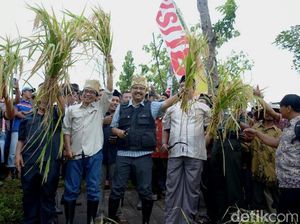 Gus Ipul: Petani Berperan Wujudkan Ketahanan Pangan