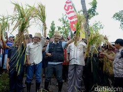 Gus Ipul: Petani Berperan Wujudkan Ketahanan Pangan