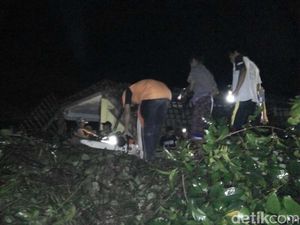 Dua Orang Tewas Tertimpa Pohon Tumbang di Banyumas
