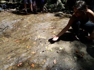 Air Terjun & Surga Kupu-kupu di Siem Reap, Kamboja