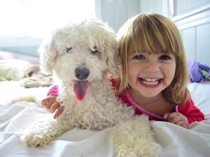 Siapa Sangka, 4 Hewan Ini Bisa Diandalkan untuk Redakan Stres