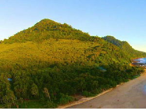 Ada Kampung Wisata Cokelat Glenmore di Banyuwangi