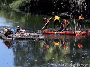 Bersihkan Sampah dari Kali Tirem yang Penuh Lumpur Bersihkan Sampah dari Kali Tirem yang Penuh Lumpur