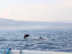 Tantangan Wishnutama untuk Kembangkan Pariwisata Bali Utara