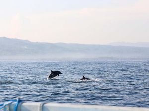 Tantangan Wishnutama untuk Kembangkan Pariwisata Bali Utara Tantangan Wishnutama untuk Kembangkan Pariwisata Bali Utara