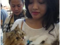 Viral Video Pencopet di Bandung, Korban: Ada Tiga Pelaku