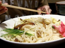 Oishii! Ramen Topping Jangkrik dan Ulat Goreng dari Tokyo
