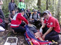 Habis Logistik, 11 Pendaki Gunung Pangrango Diselamatkan Petugas