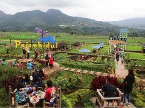 Jadi Desa Wisata, Pujon Raup Pendapatan Desa Terbesar di Malang