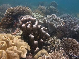 Pulau Miang, Si Cantik dari Kutai Timur