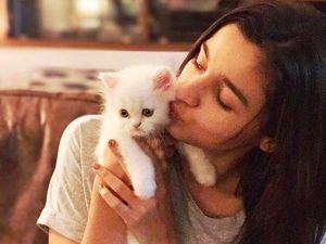 Alia Bhatt Bicara Perihal Pelecehan Seksual di Bollywood Alia Bhatt Bicara Perihal Pelecehan Seksual di Bollywood