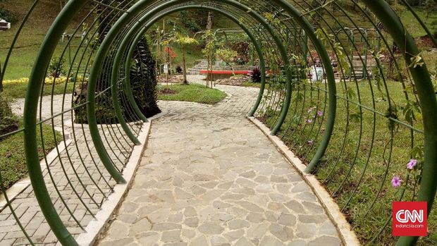 Taman Liana di Kebun Raya Cibodas. (CNN Indonesia/Deddy S)
