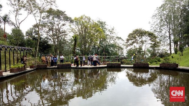 Kebun Raya Cibodas Taman Liana di Kebun Raya Cibodas. (CNN Indonesia/Deddy S)