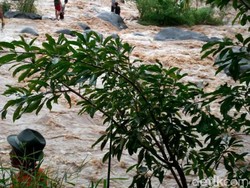 Tim SAR Lanjutkan Pencarian Tiga Siswa MTs Ali Mursyad yang Hanyut