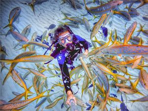 Hilangkan Depresi Lewat Menyelam dan Bersahabat dengan Hewan Laut