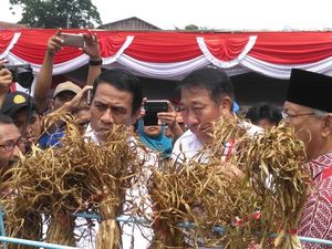 Mentan: Harga Bawang Putih Tidak Boleh Jatuh Lagi