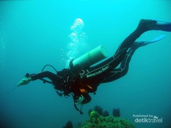 Ini Tempat Backpackeran dan Diving di Bali