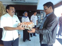Kementan Mediasi Peternak dan Integrator di Blitar