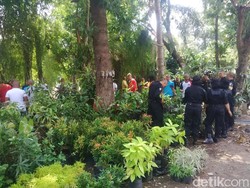 SurabayaPedas Dorong Warga Budayakan Tanam dan Peduli Lingkungan