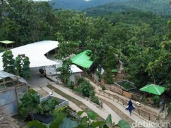 Berwisata dan Belajar Beternak di Vila Ternak Cikeray, Cilegon