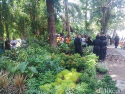Wali Kota Risma Ingin Punya Kebun Pangan di Surabaya