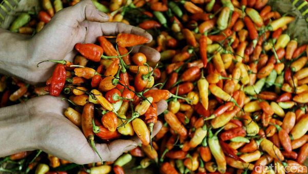 Harga Cabai Rawit Merah di Jakarta Masih Pedas