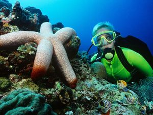 Diving Tanpa Pengawasan, Turis Tenggelam dan Tewas Diving Tanpa Pengawasan, Turis Tenggelam dan Tewas
