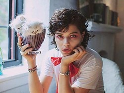 Gemas, Majalah Ini Dibuat Khusus untuk Fashionista Pecinta Kucing