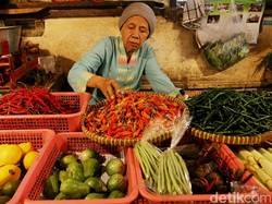 Harga Cabai Turun ke Rp 30.000/Kg, Petani: Panen Berlimpah