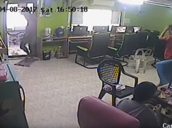 Ular Terbang Menyerang dan Bikin Gaduh Warnet