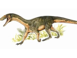 Riset: Kerabat Awal Dinosaurus Berjalan Seperti Buaya