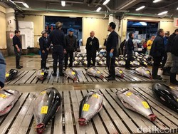 Kembangkan Muara Baru, KKP Studi Banding ke Pasar Ikan Tsukiji