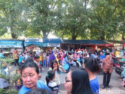 Warga Sudah Menanti, Begini Suasana Jelang Pernikahan Nani Widjaja