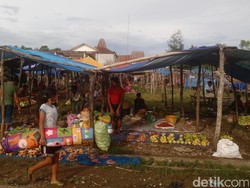 4 Jam Perjalanan Sayur Tanpa Pupuk dari Lereng Gunung ke Atambua
