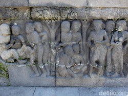 LIPI Bukukan Keanekaragaman Hayati di Relief Candi Borobudur