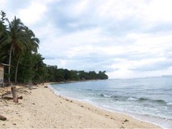 Lampung Punya Spot Surfing yang Tak Kalah Indah dengan Bali