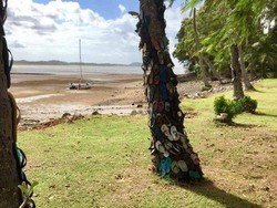 Sandal yang Terbuang di Pantai Ini Diubah Jadi Pohon