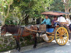 Wisata Sehari di Desa Candirejo, Magelang