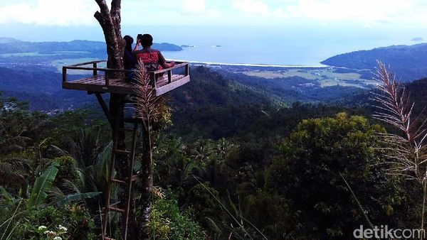 Liburan Romantis di Rumah Pohon PHP Trenggalek