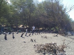 Warga Pantai Bantul Mulai Bersiap Hadapi Abrasi Tahunan