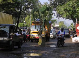 Respons Bupati Bandung Soal Jalan Rusak Ditanami Pohon Pisang