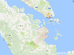 Sengketa Lahan 2 Keluarga Picu Bentrok Pekerja Sawit di Riau