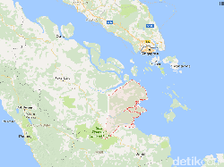 Sengketa Lahan 2 Keluarga Picu Bentrok Pekerja Sawit di Riau