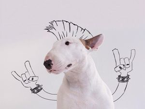 Bak Animasi, Keren Banget Gambar Doodle Ini!