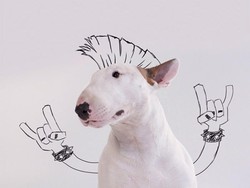 Bak Animasi, Keren Banget Gambar Doodle Ini!