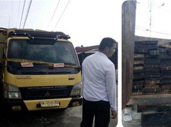 2 Truk Kol Diesel Memuat Kayu Pembalakan Liar Ditangkap di Dumai