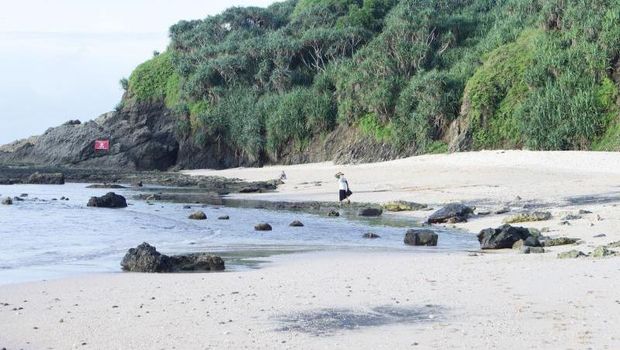 Pantai Jungwok di Gunungkidul, Yogyakarta