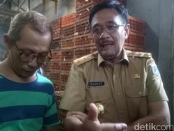 Agenda Terakhir Sebelum Nyoblos, Djarot Cek Tempat Pemotongan Ayam