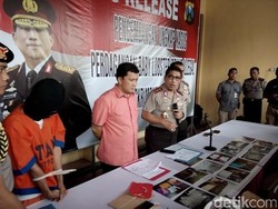 Polda Jatim Ringkus Pengepul Baby Lobster di Jakarta