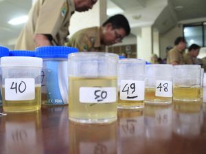 BNN Tes Urine PNS dan Honorer di Pademangan, 3 Orang Positif Sabu